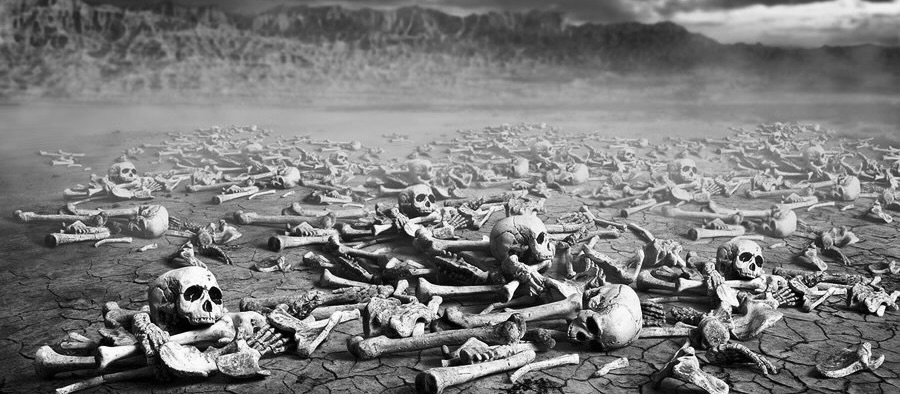 bones