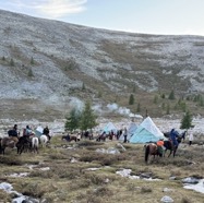 reindeer camp